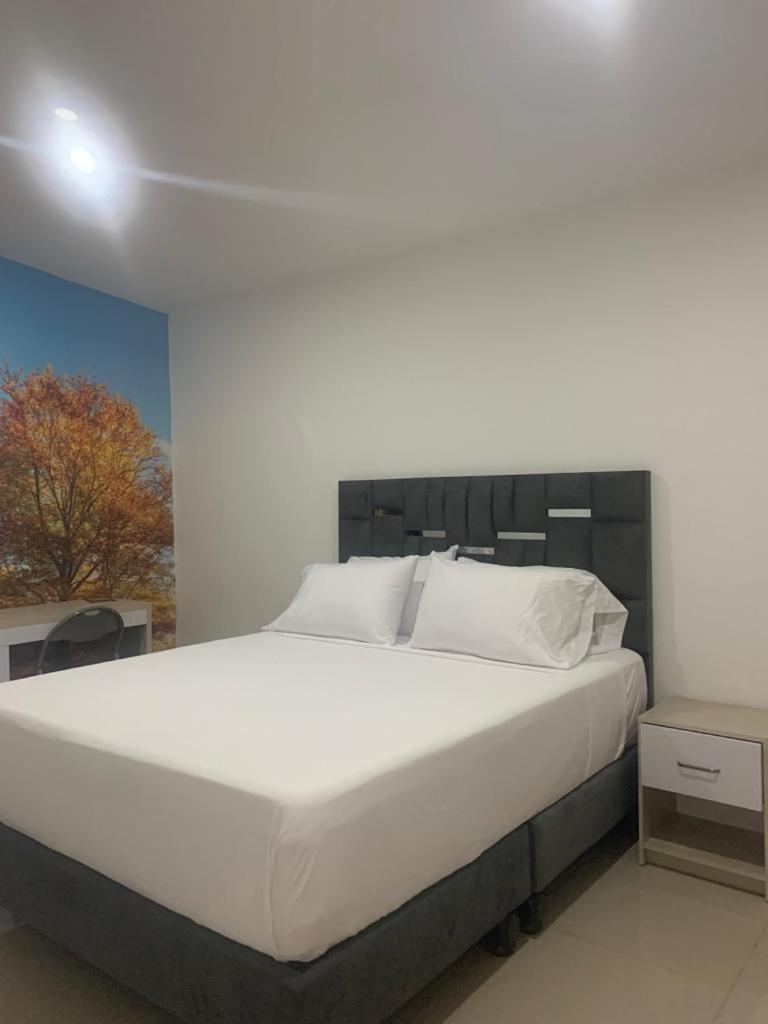 Hotel Granada Loft 칼리 외부 사진